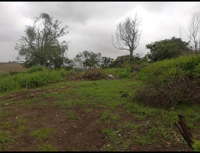 LAND FOR SALE IN UMZINTO